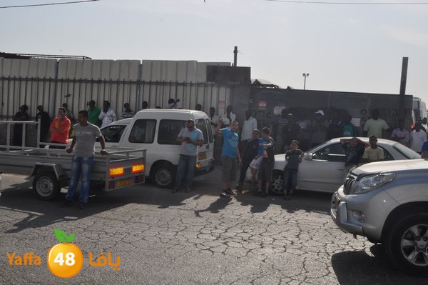 fireludkartoonmasna34 (35).JPG